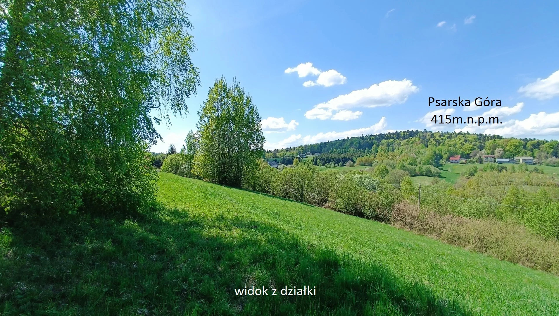 10036652 - zdjęcie nr 2