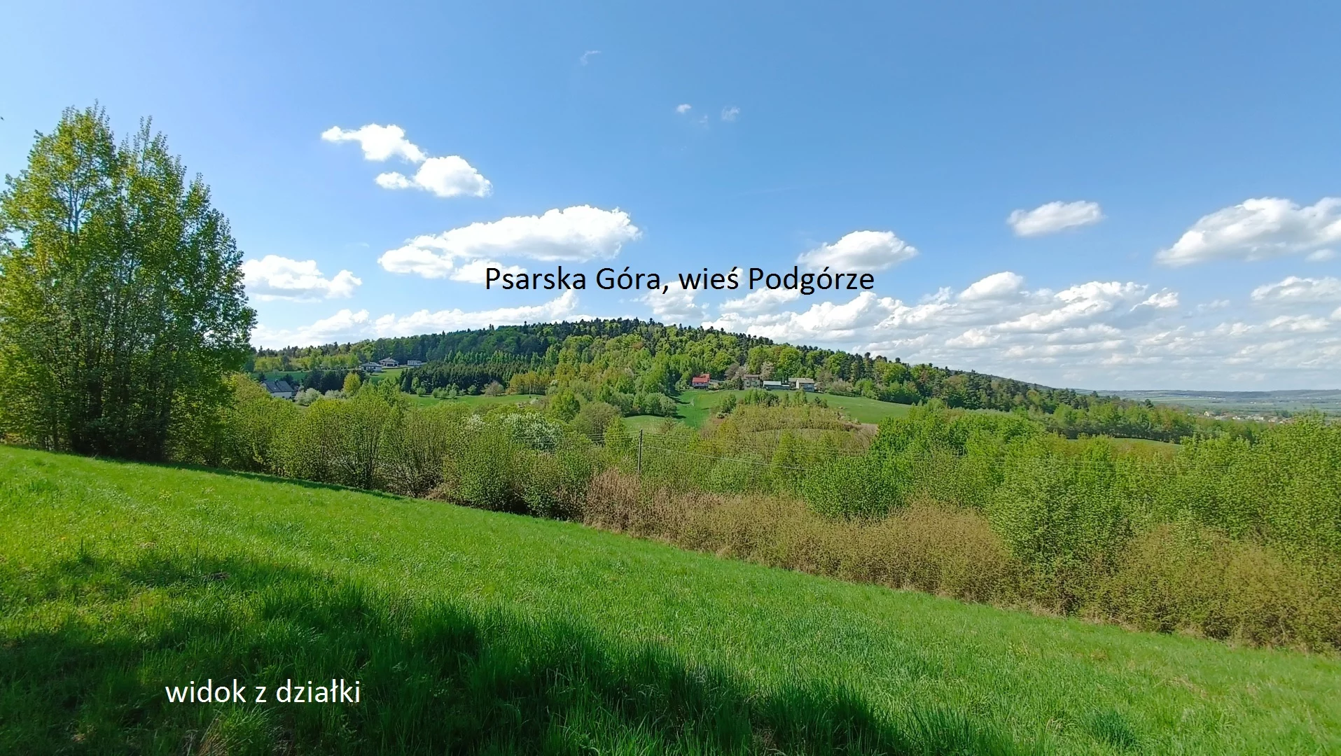 10036652 - zdjęcie nr 3