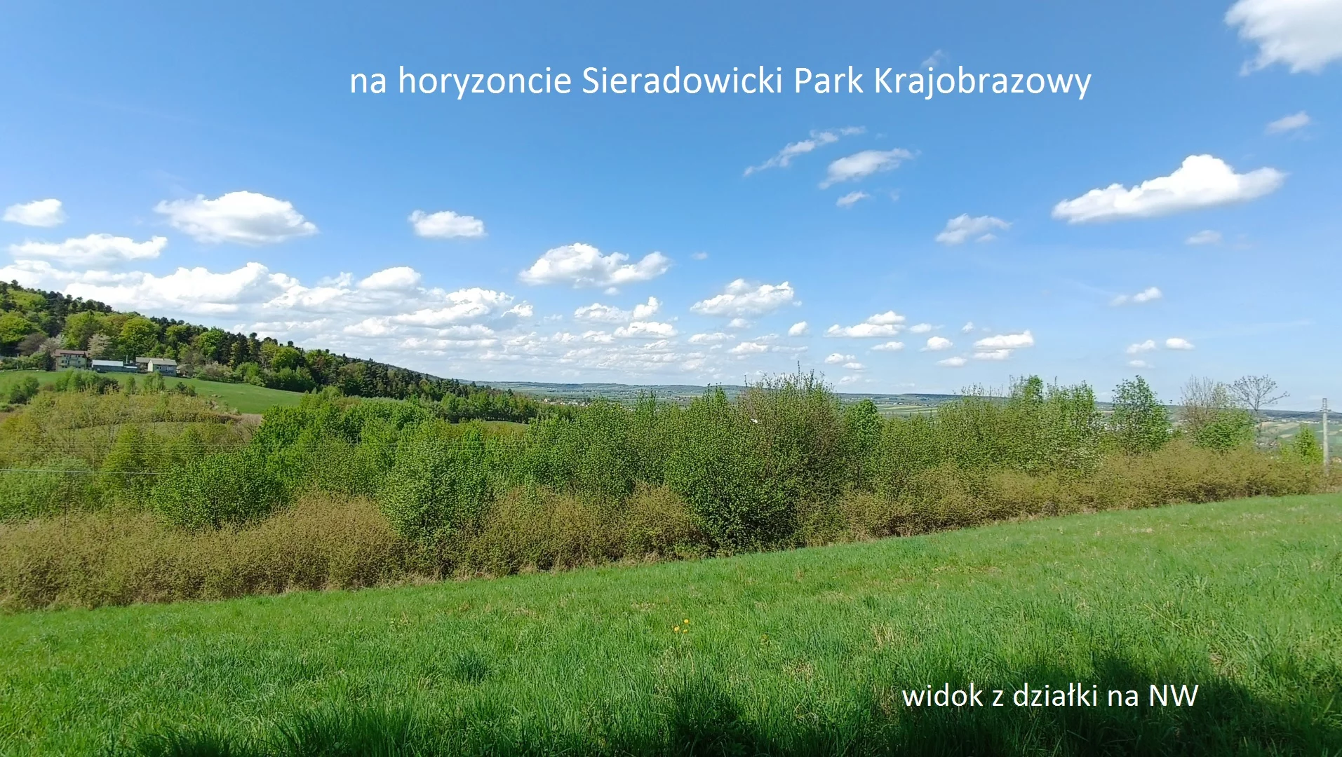 10036652 - zdjęcie nr 4