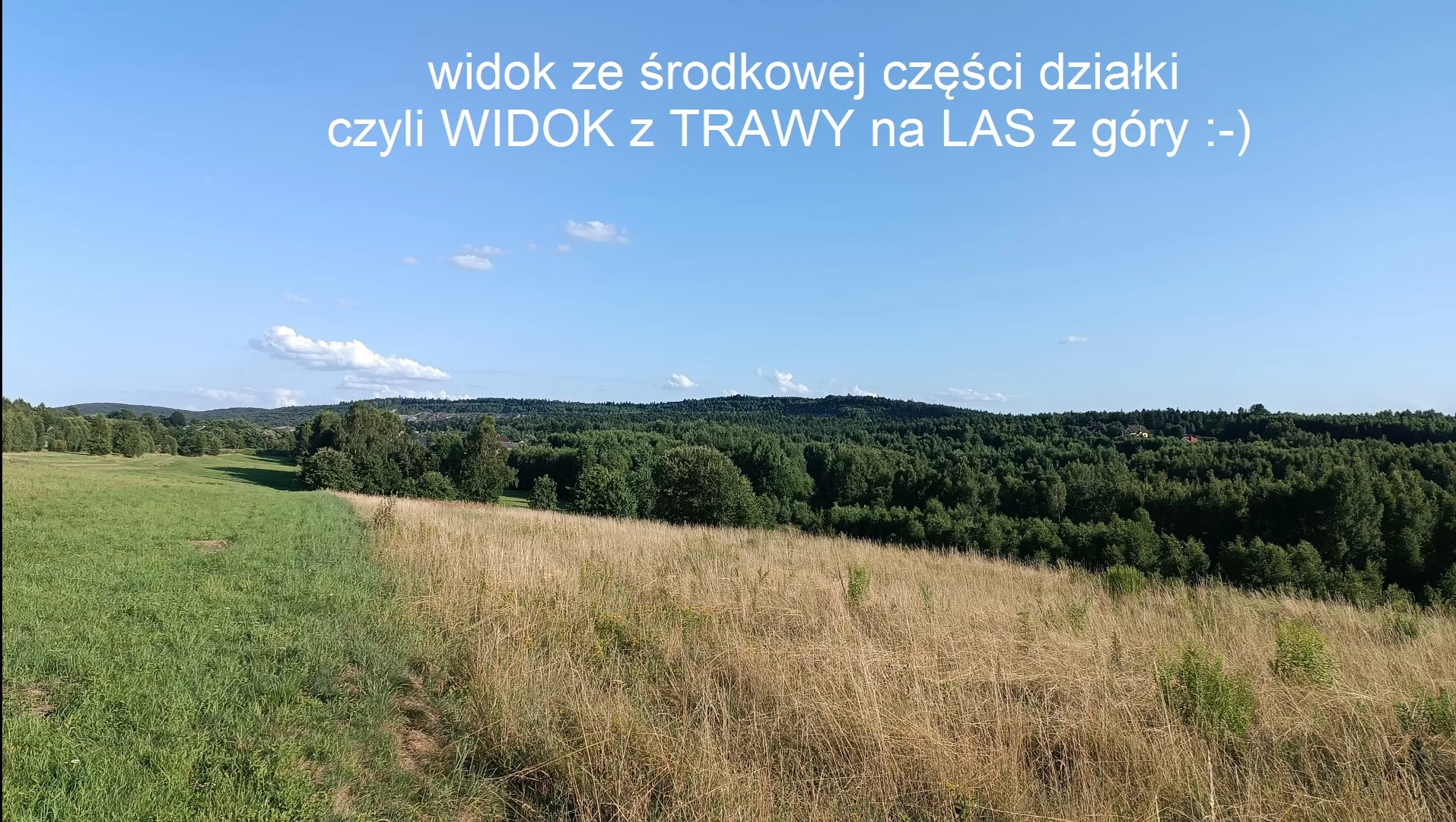 9982655 - zdjęcie nr 0