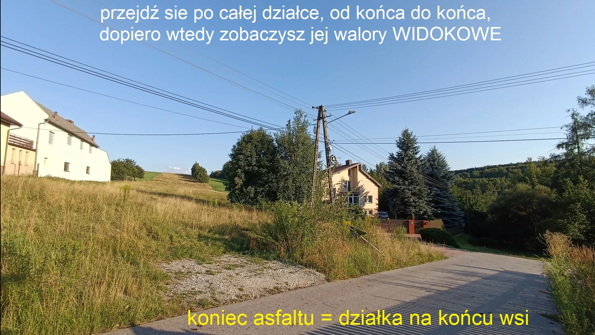 9982655 - zdjęcie nr 2