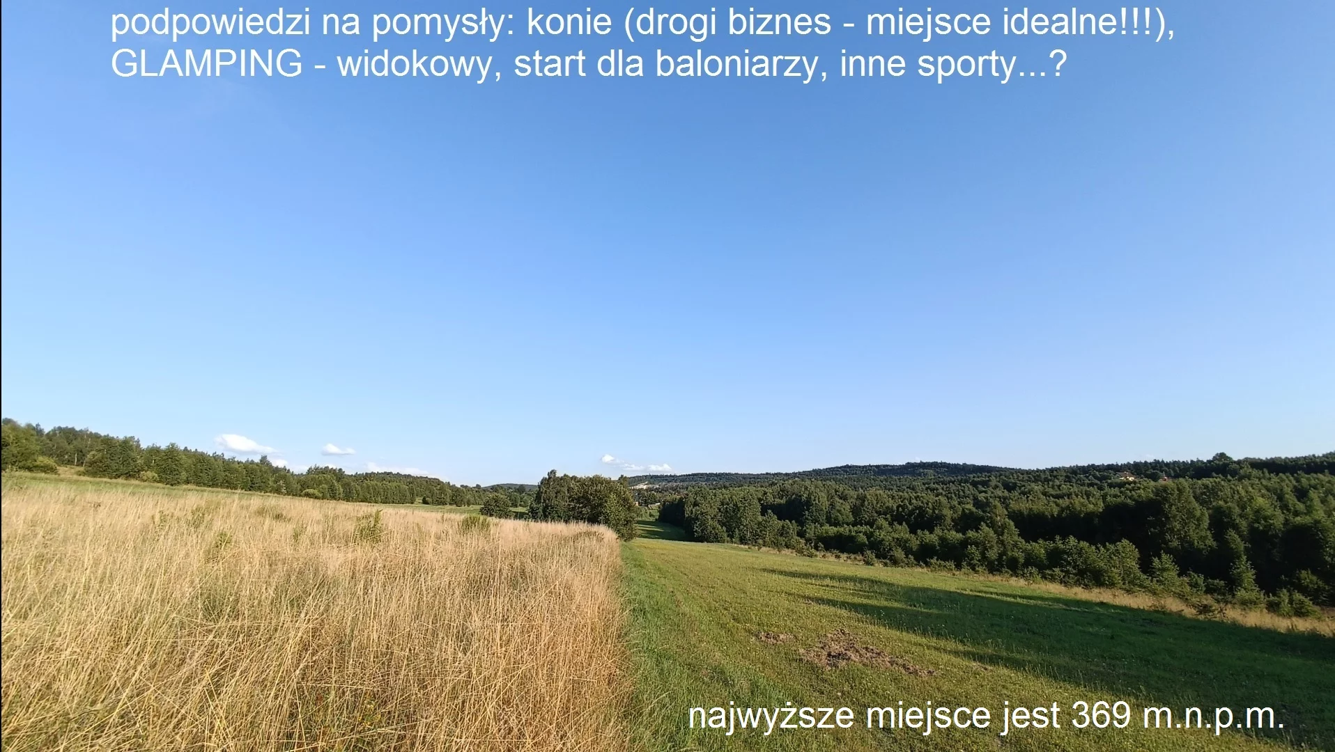 9982655 - zdjęcie nr 3