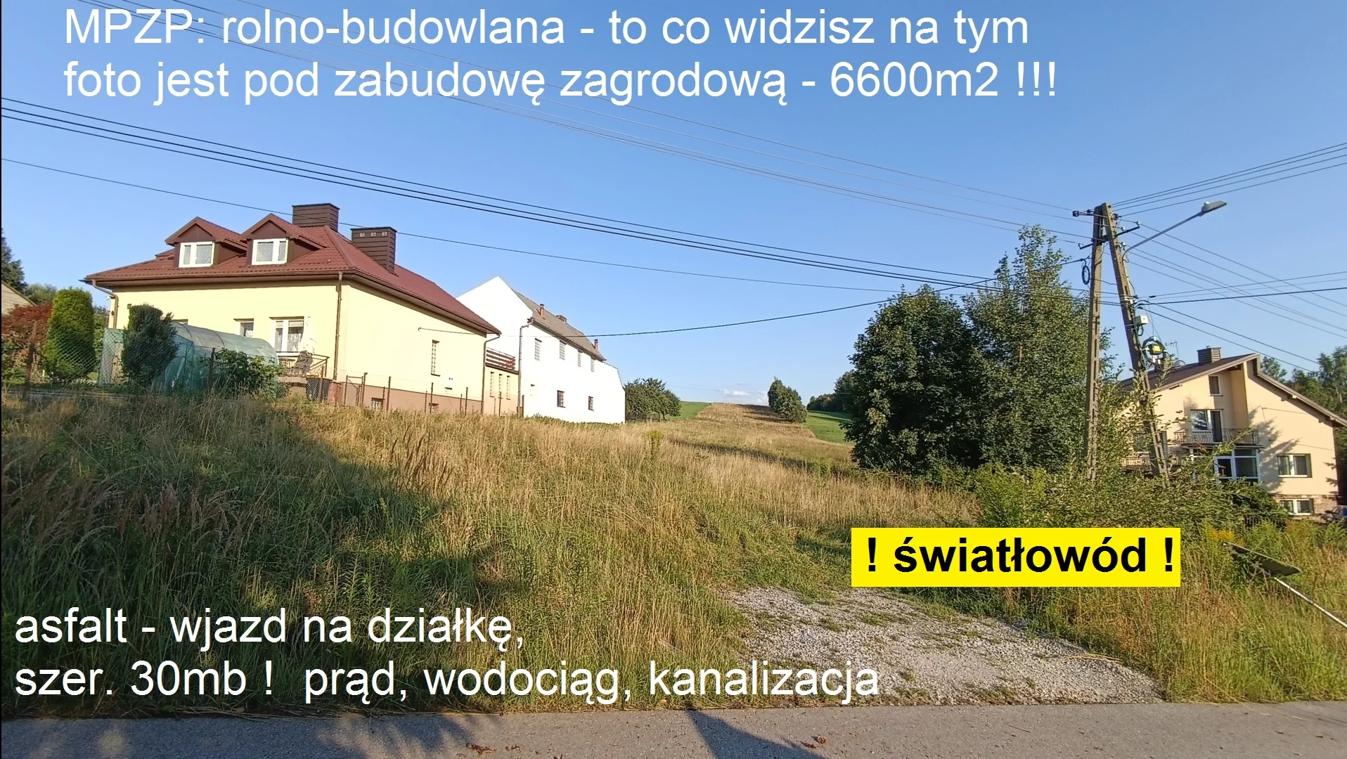 9982655 - zdjęcie nr 1