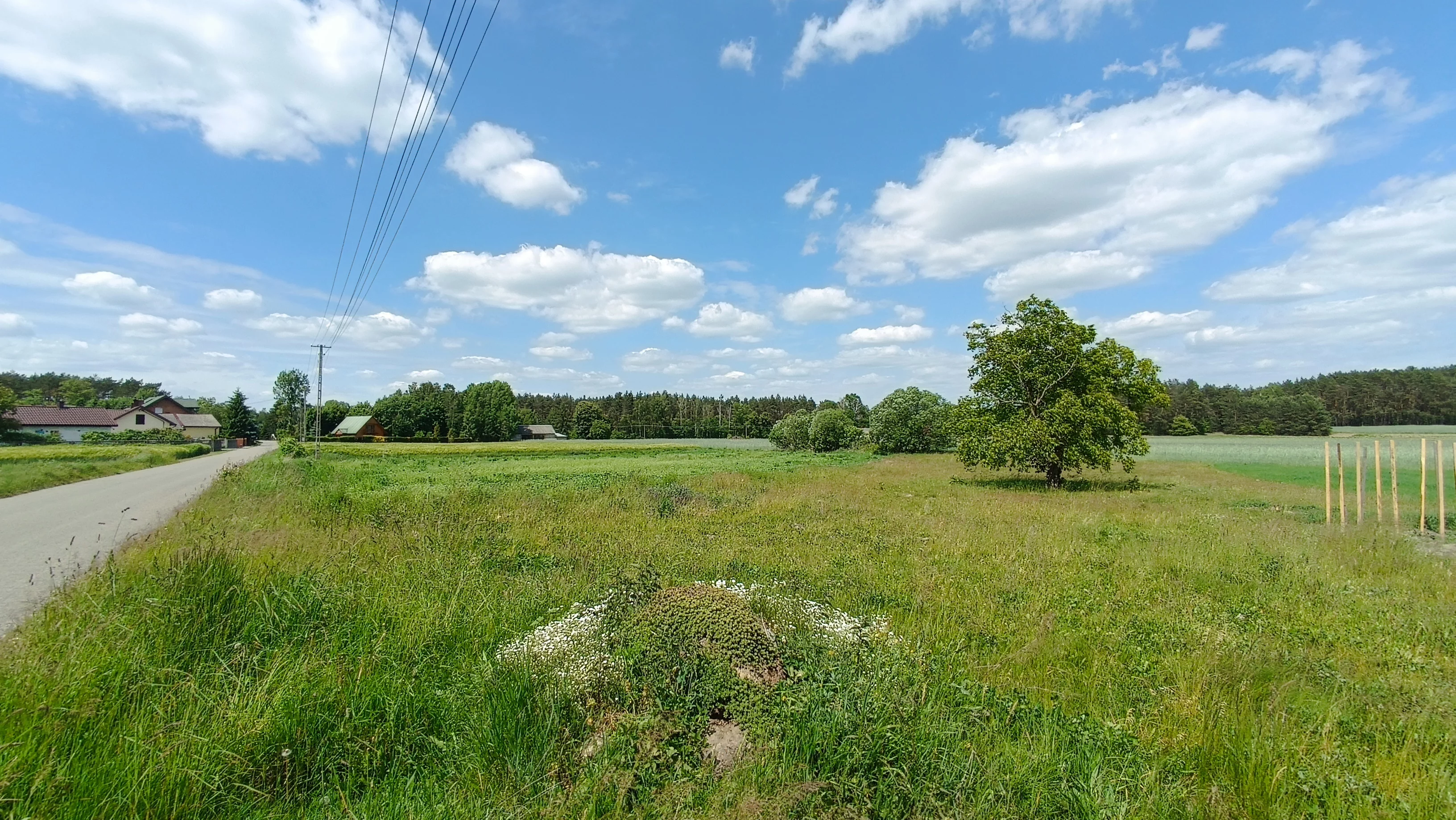 Działka 1 500,00 m², oferta nr , 10151466, Feliksów