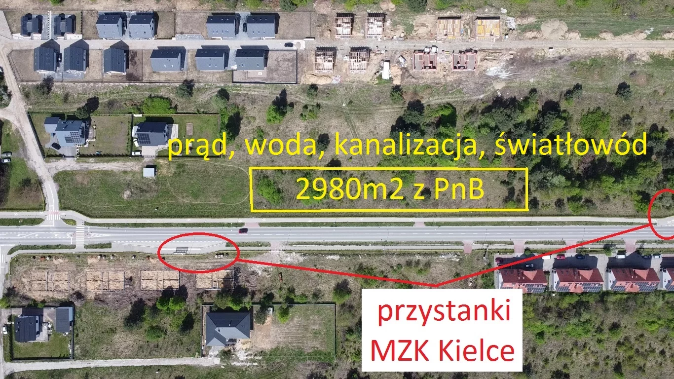 10125711 - zdjęcie nr 2