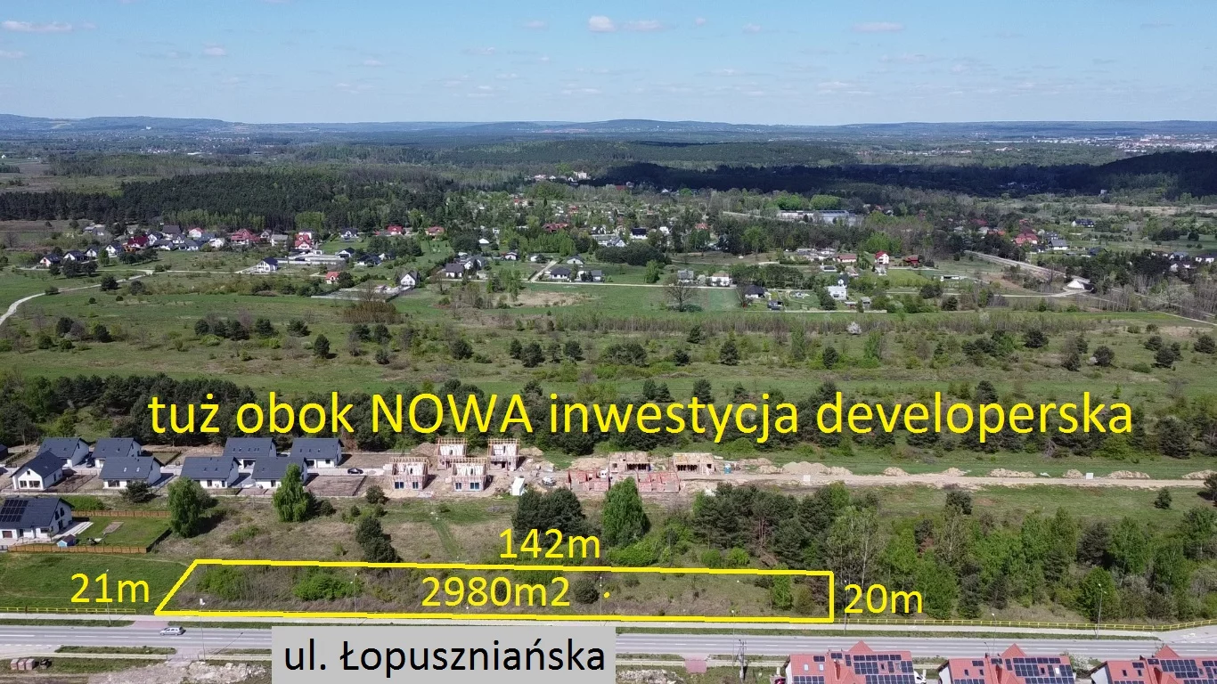 10125711 - zdjęcie nr 3