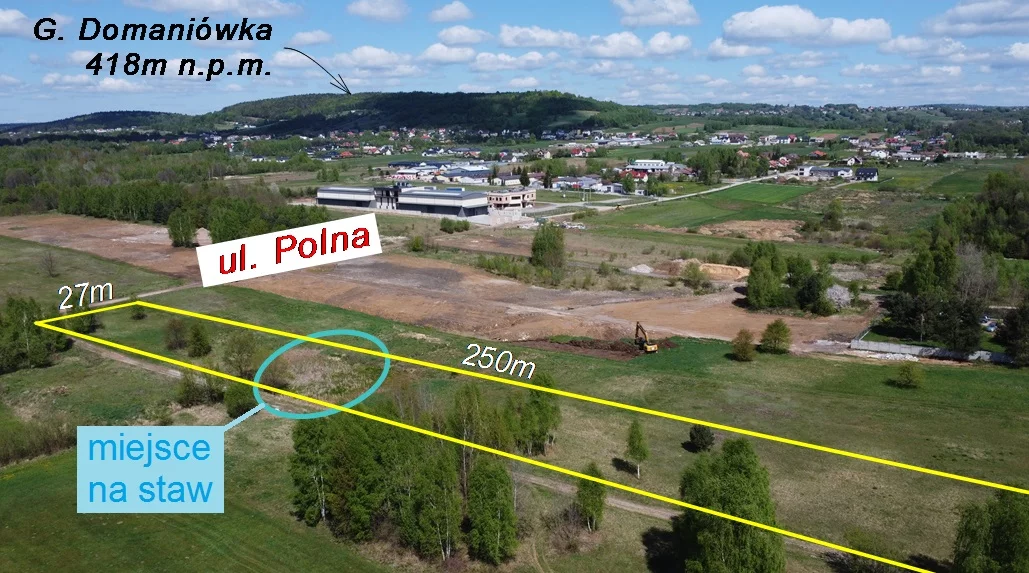 10164754 - zdjęcie nr 3