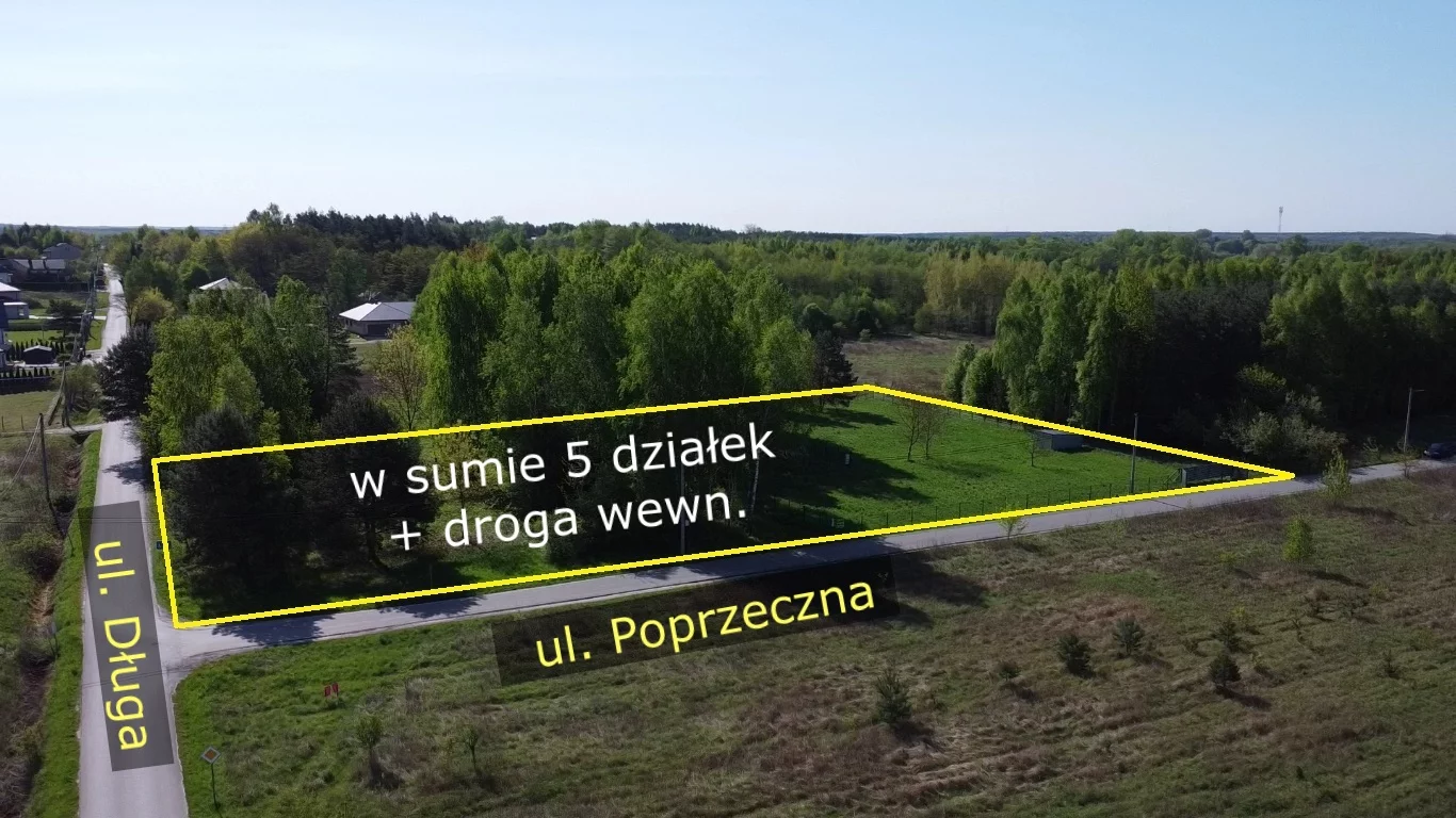 10164635 - zdjęcie nr 0