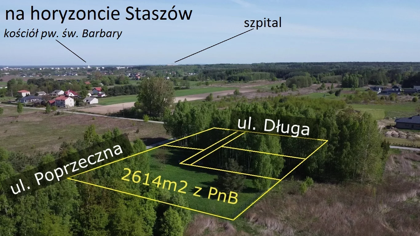 10164635 - zdjęcie nr 1