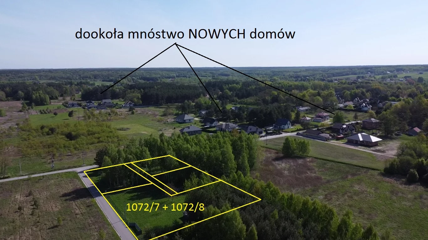 10164635 - zdjęcie nr 2