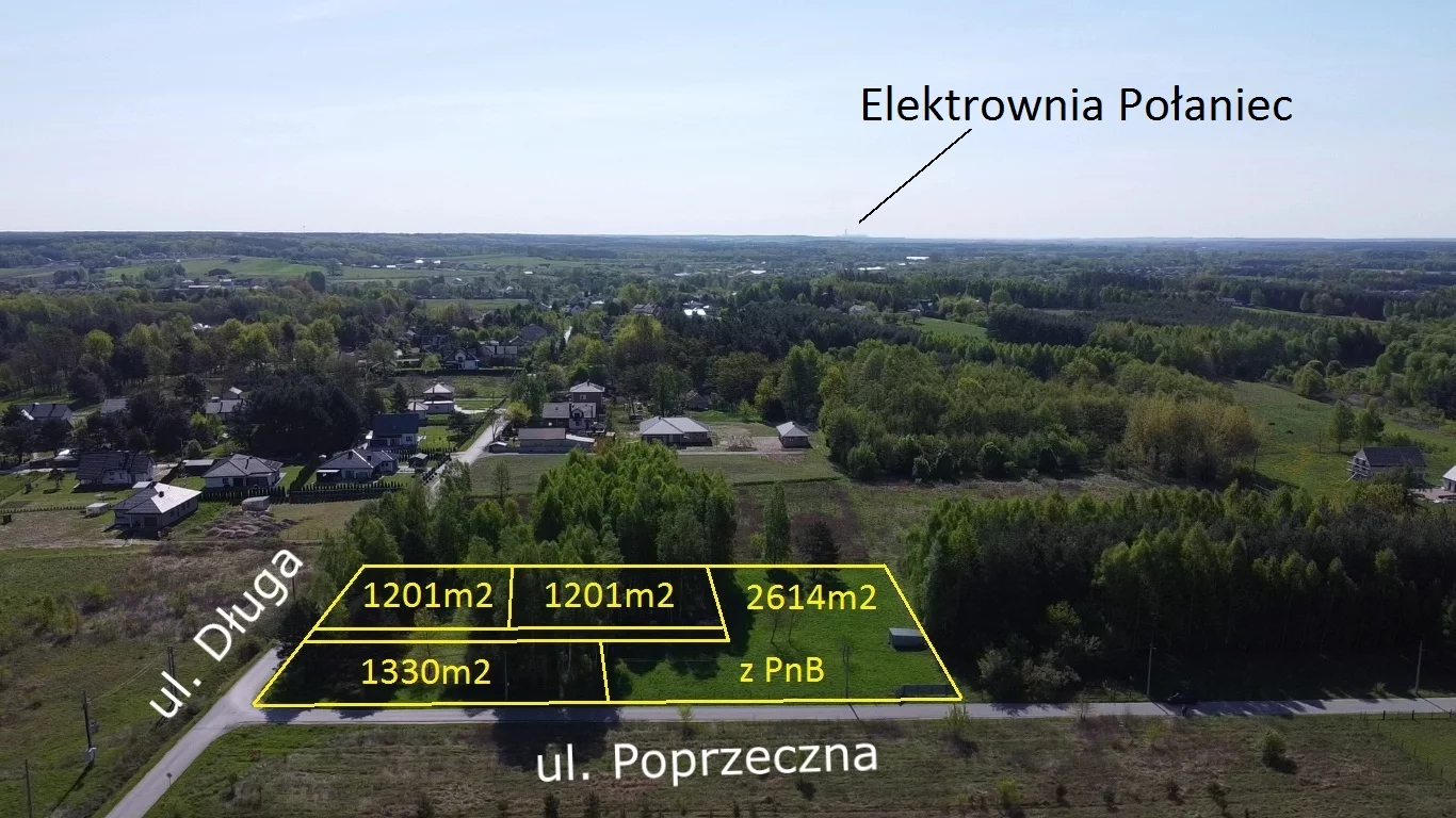 10164635 - zdjęcie nr 3