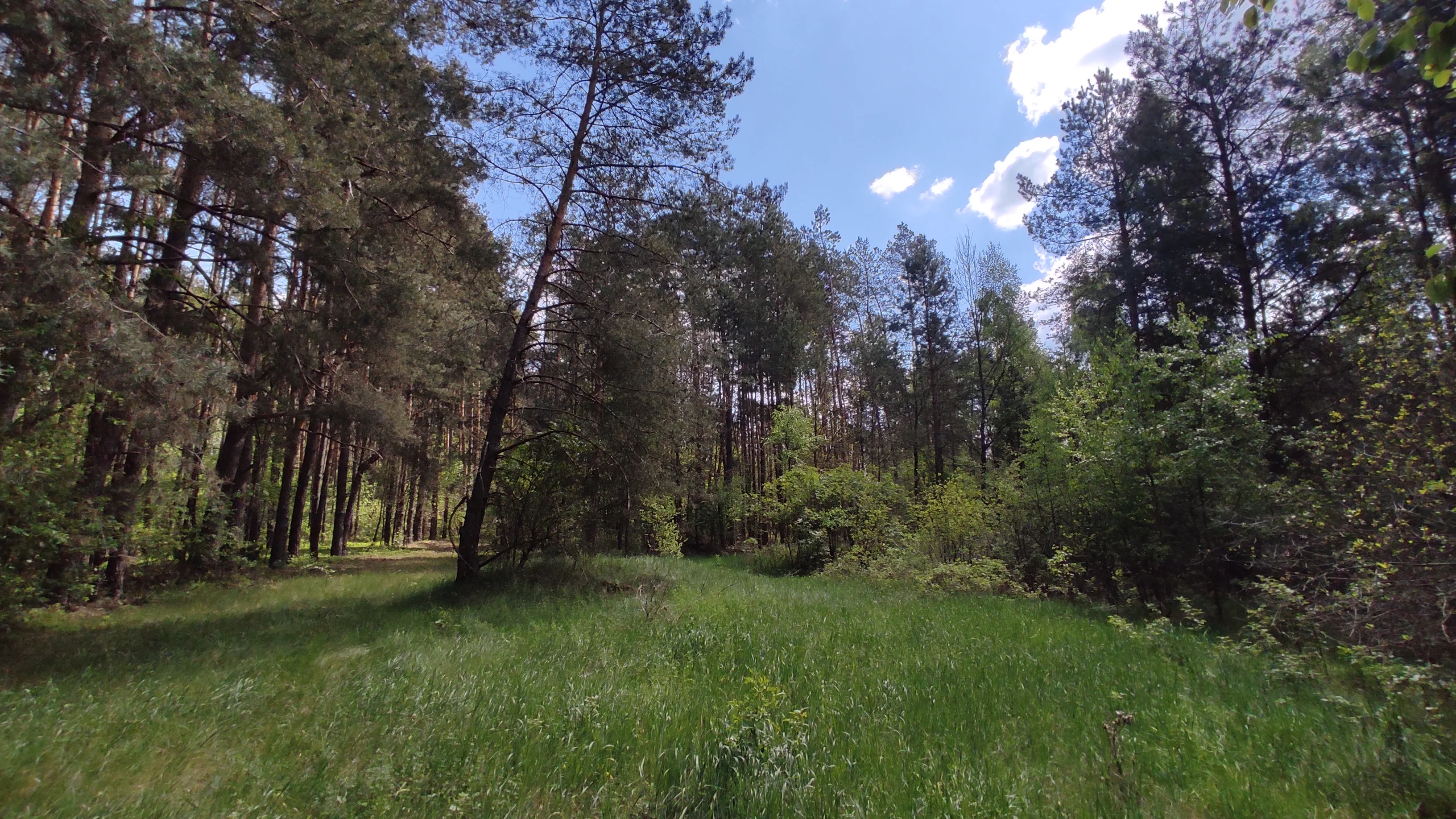 Działka 39 500,00 m², oferta nr , 9758495, Rogawka
