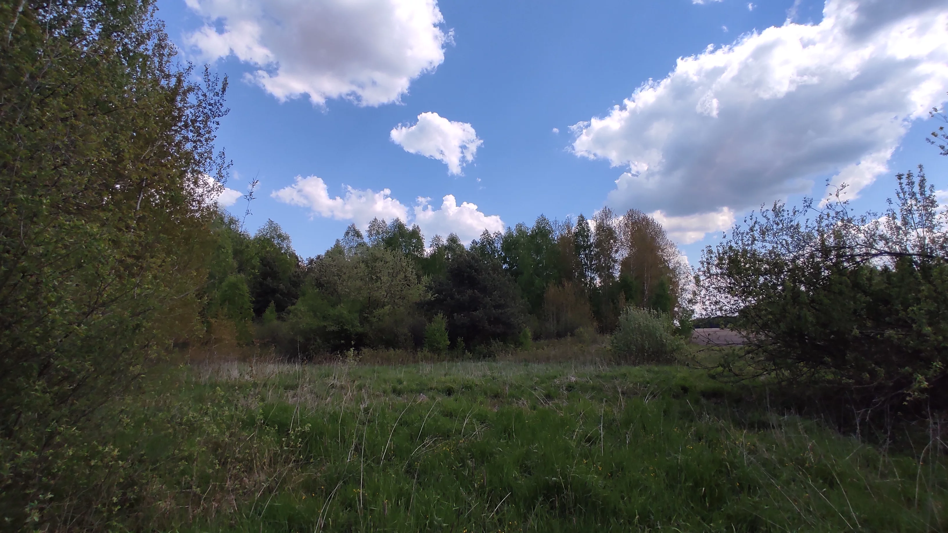 Działka 39 500,00 m², oferta nr , 9758495, Rogawka