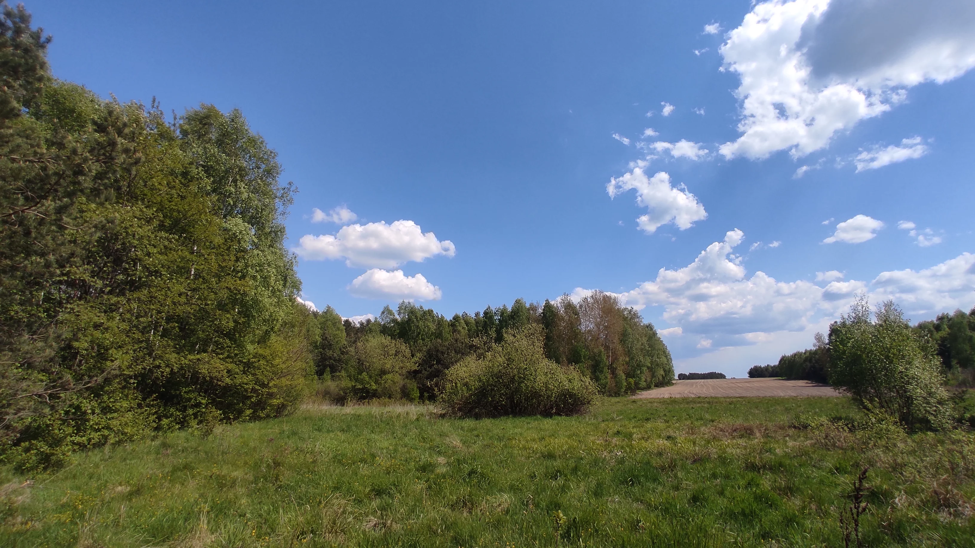 Działka 39 500,00 m², oferta nr , 9758495, Rogawka