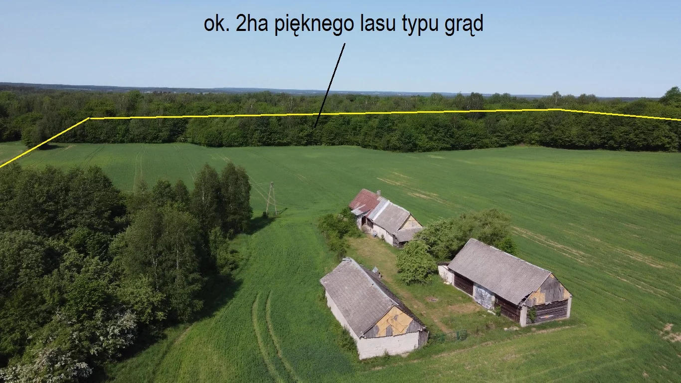 9681776 - zdjęcie nr 4