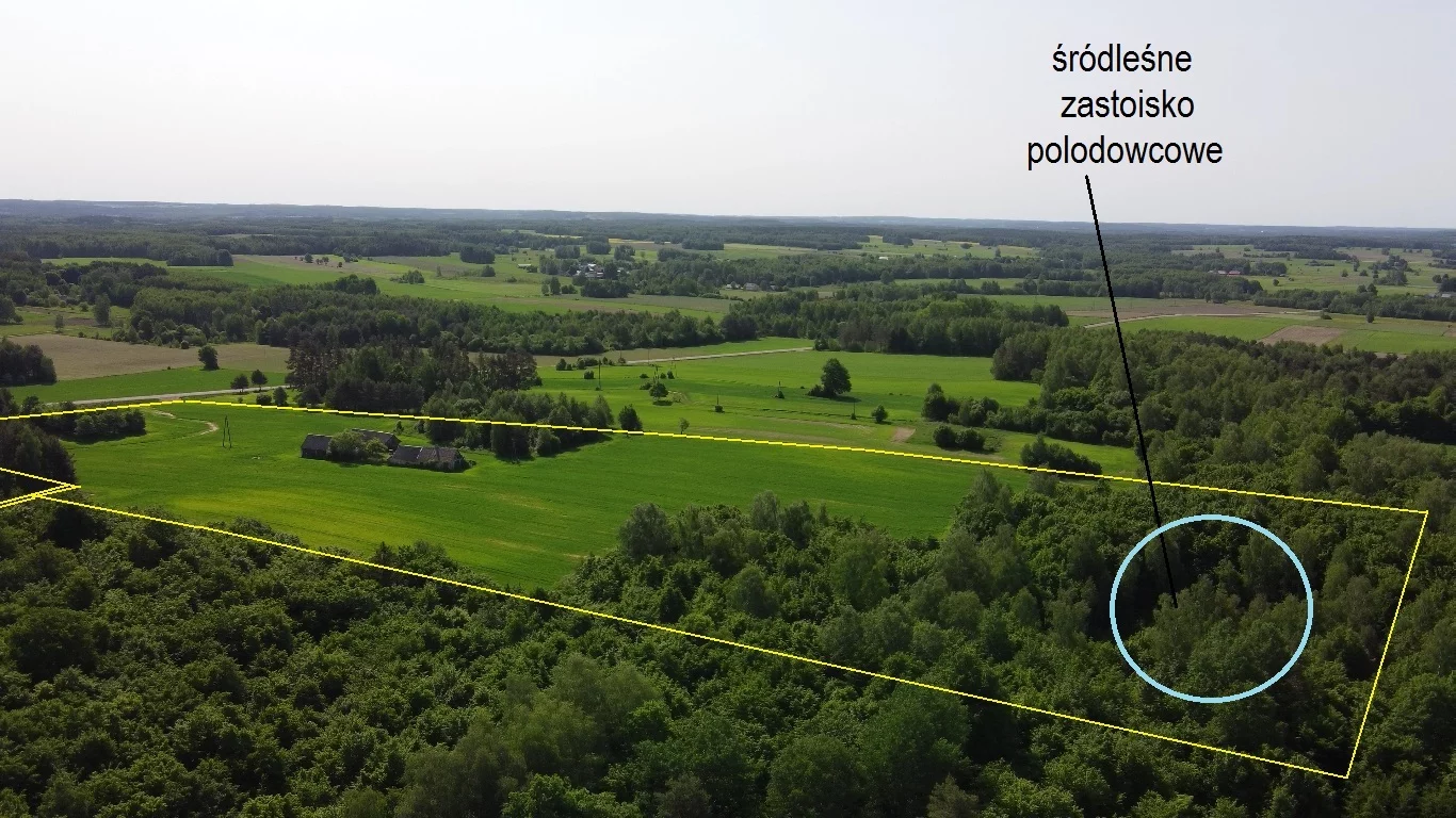 Działka 85 833,00 m², oferta nr , 9681776, Sokółka