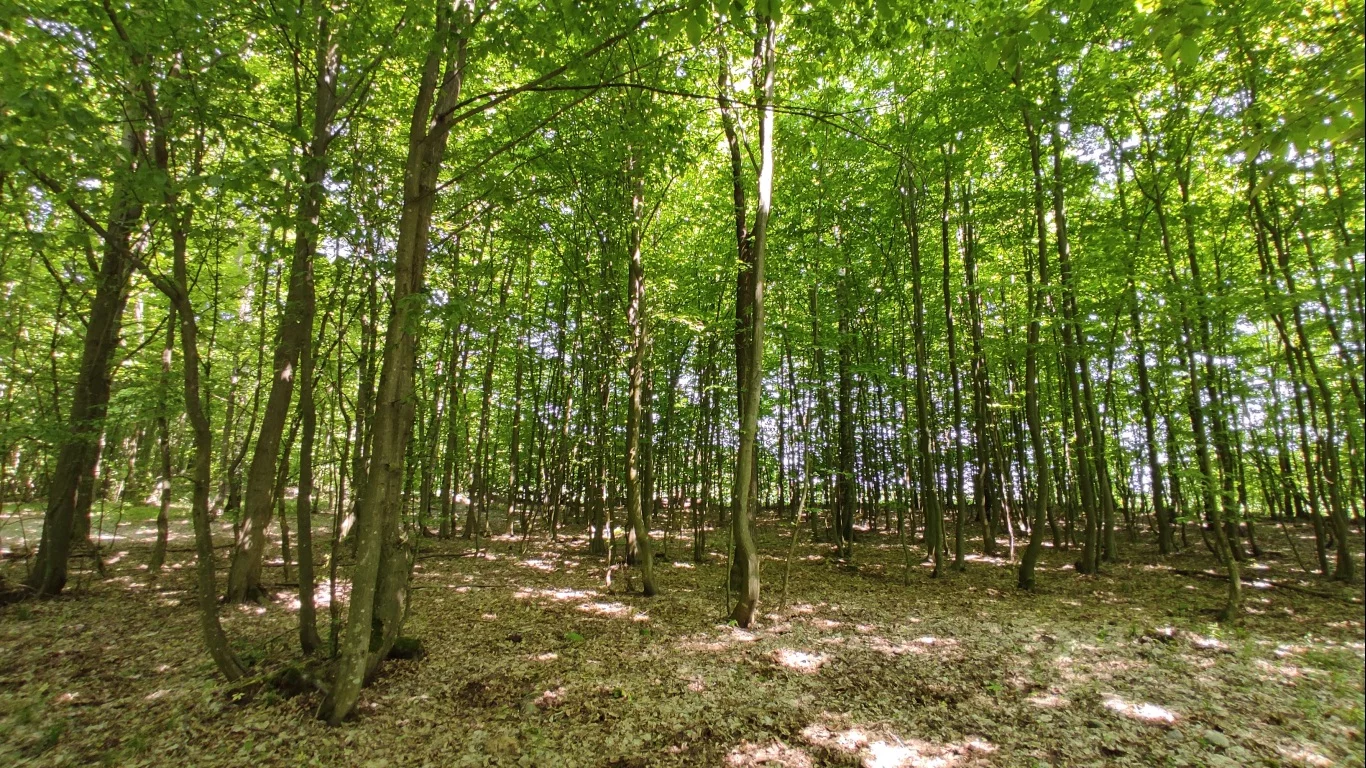 Działka 85 833,00 m², oferta nr , 9681776, Sokółka