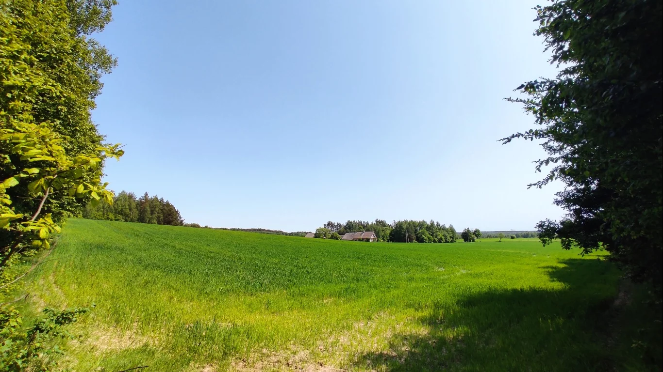 Działka 85 833,00 m², oferta nr , 9681776, Sokółka