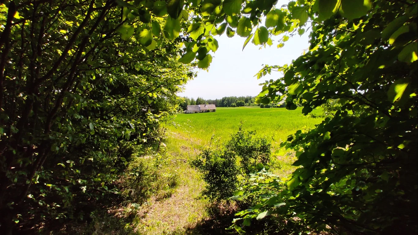 Działka 85 833,00 m², oferta nr , 9681776, Sokółka