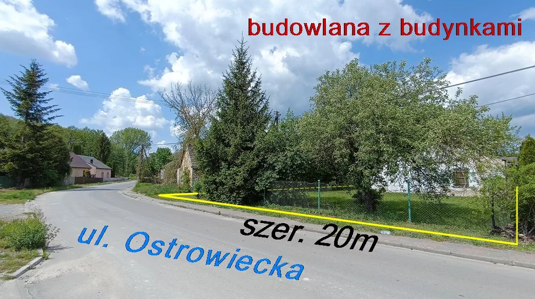 10178617 - zdjęcie nr 2