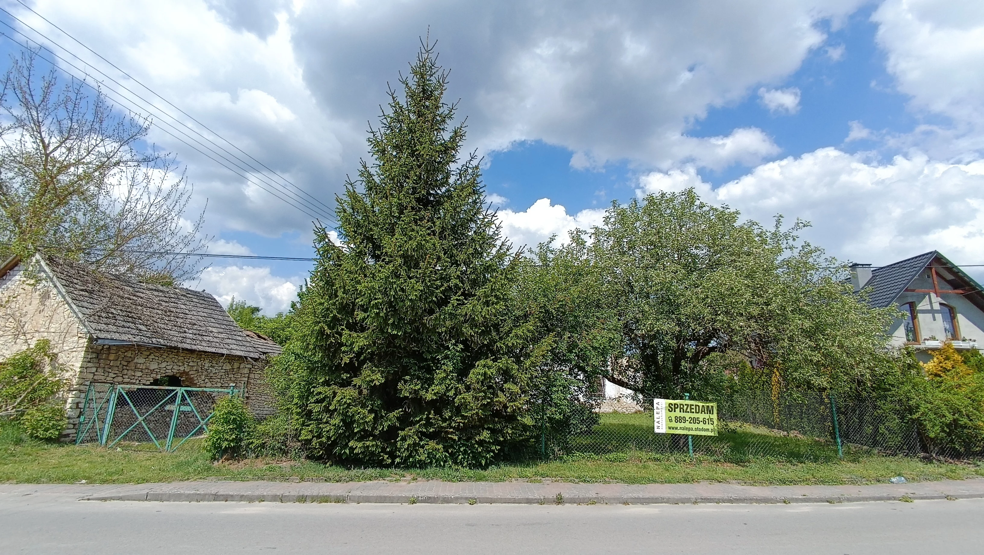 10178617 - zdjęcie nr 3
