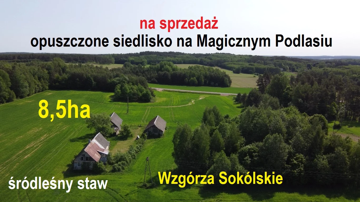 opuszczone siedlisko 8,5ha Wzgórza Sokólskie