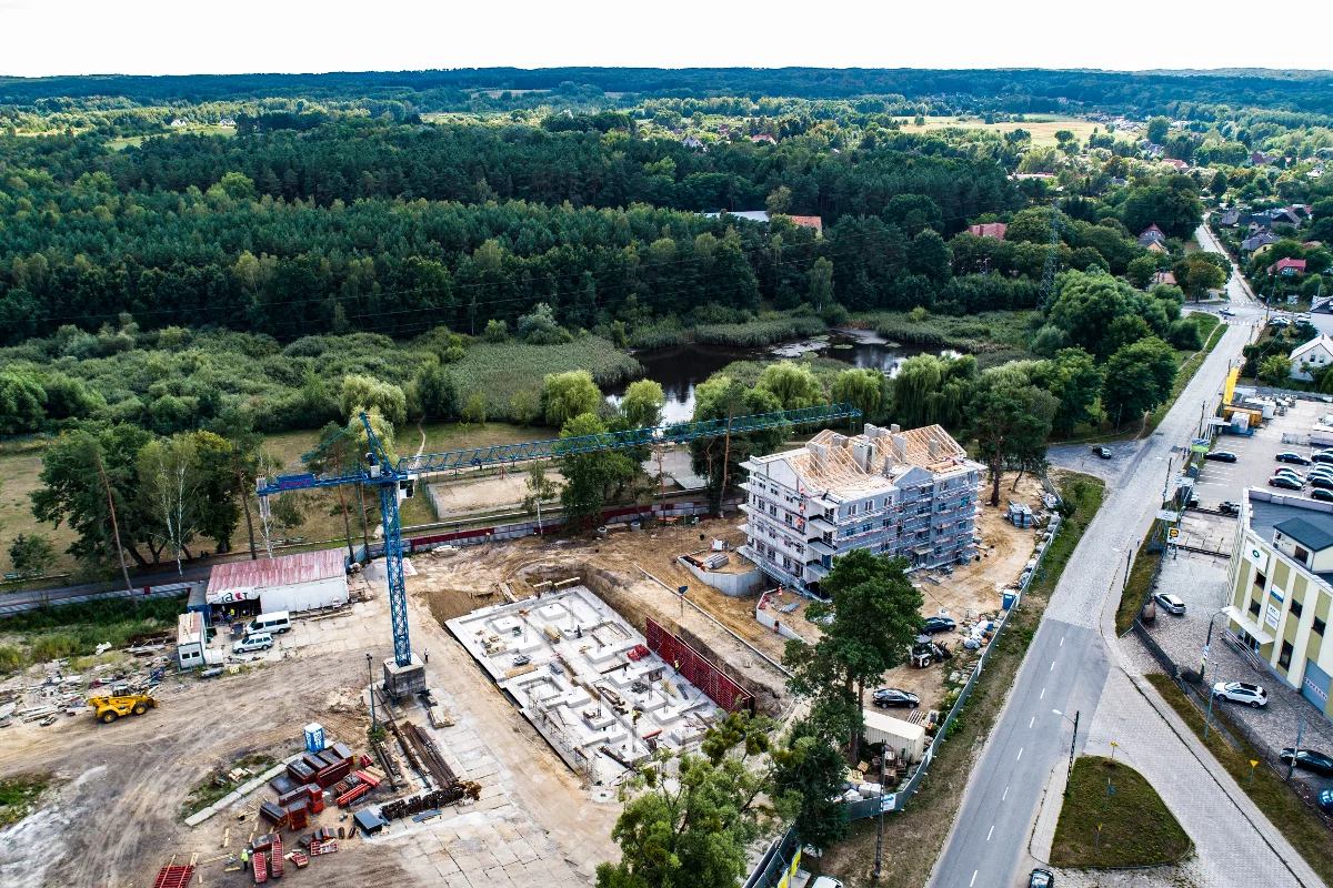 Sosnowy Park - zdjęcie nr 5