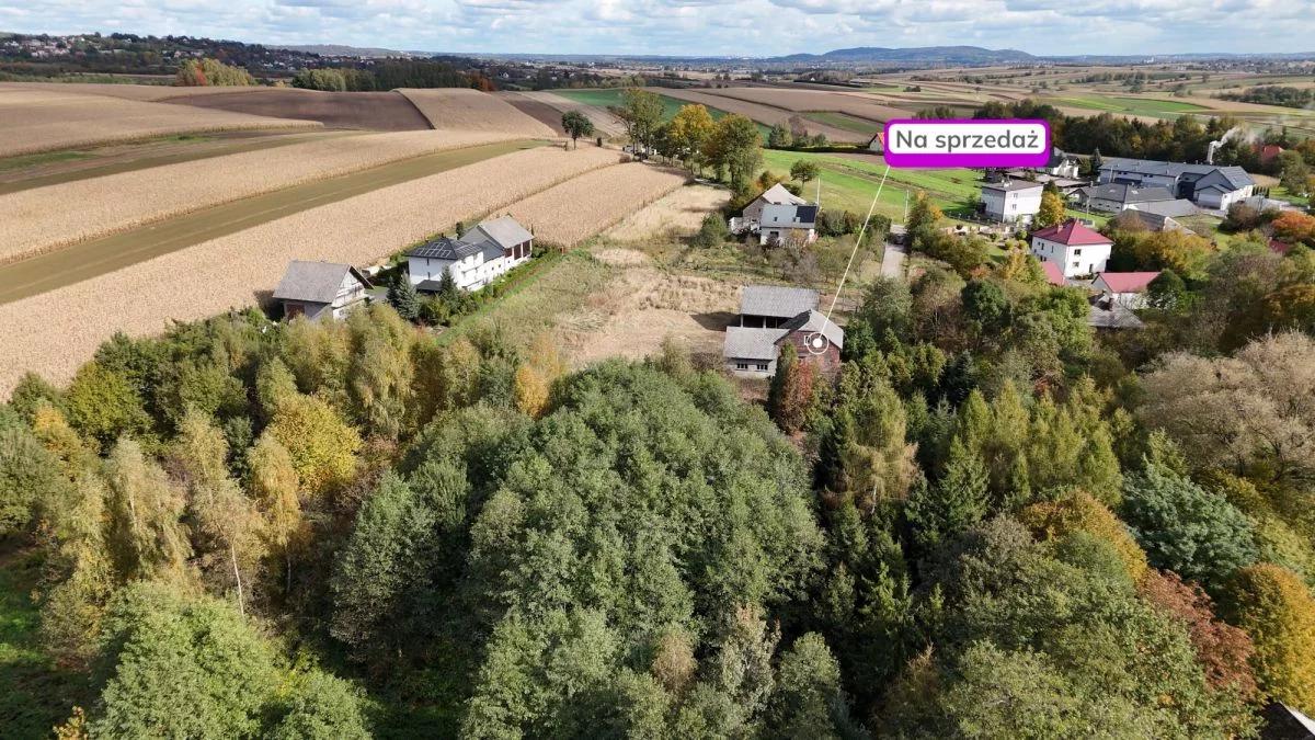 Działka 6 900,00 m², oferta nr , PNO960425, Czułówek