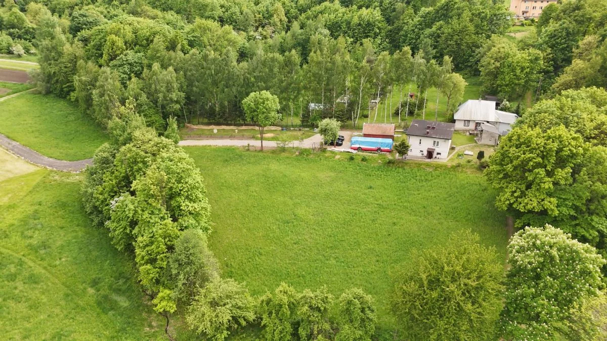 PNO370119 - zdjęcie nr 1