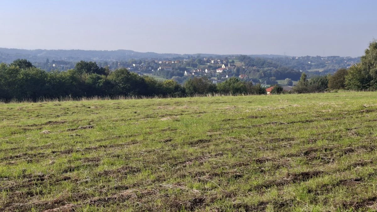 Działka 10 173,00 m², oferta nr , PNO518932, Koźmice Wielkie