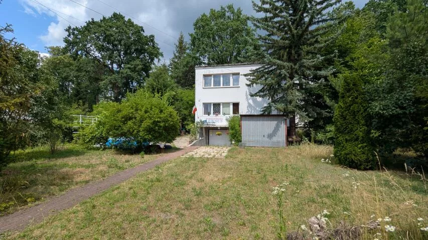 20300 - zdjęcie nr 0