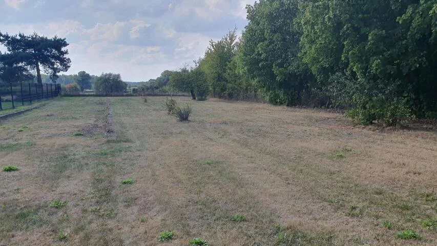 Dom 157,00 m², oferta nr , 20309, Prażmów