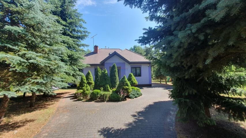 20297 - zdjęcie nr 0