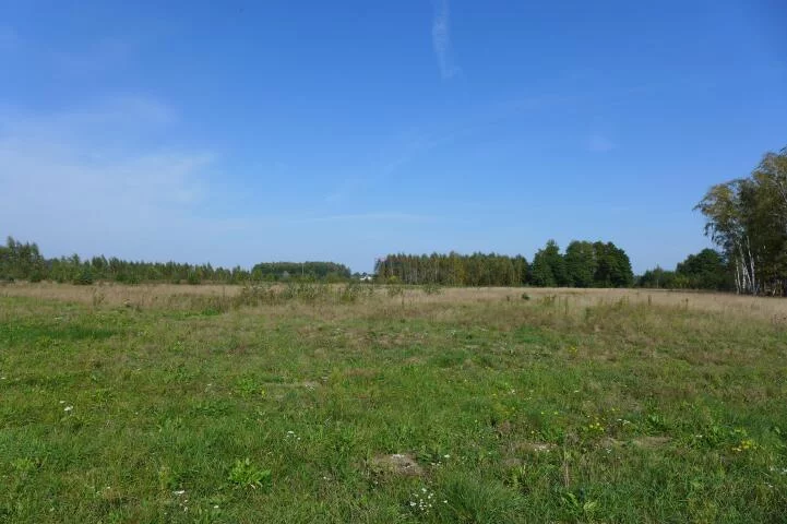 Działka 1 037,00 m², oferta nr , 19231, Barcice Drwalewskie
