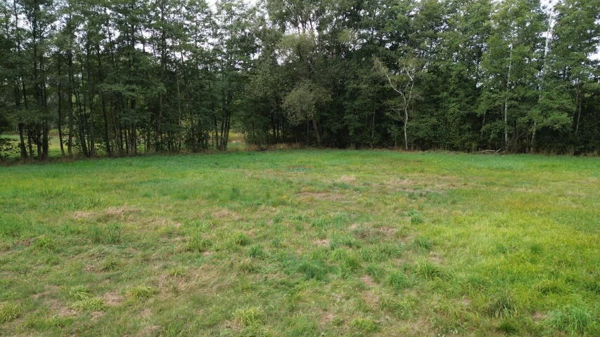 Działka 2 200,00 m², oferta nr , 20312, Biały Ług