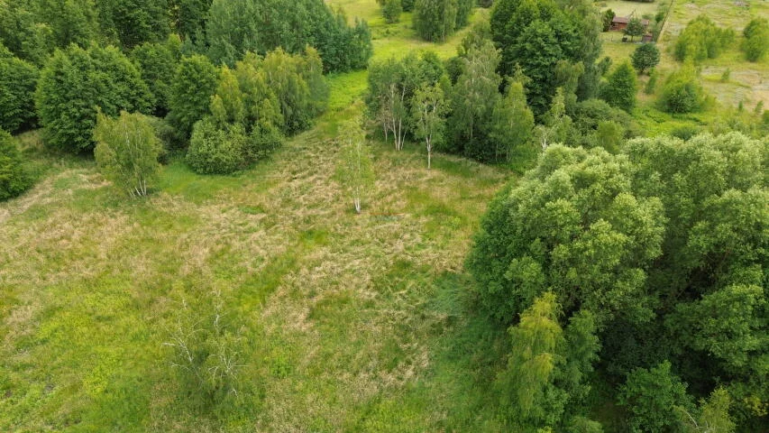 Działka 1 100,00 m², oferta nr , 20320, Biały Ług