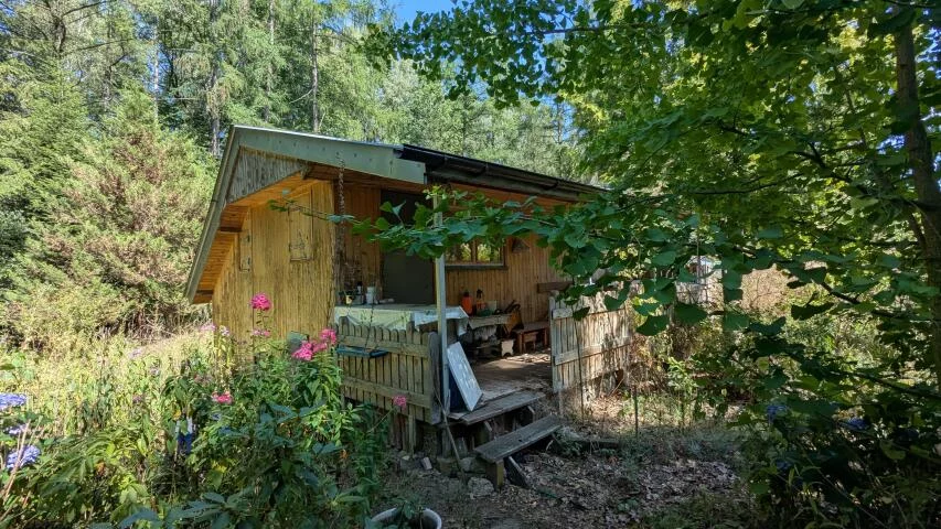 Apartamenty 20304 Chojnów