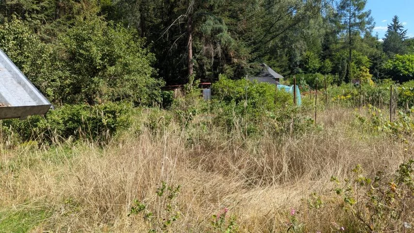 Działka 1 600,00 m², oferta nr , 20304, Chojnów