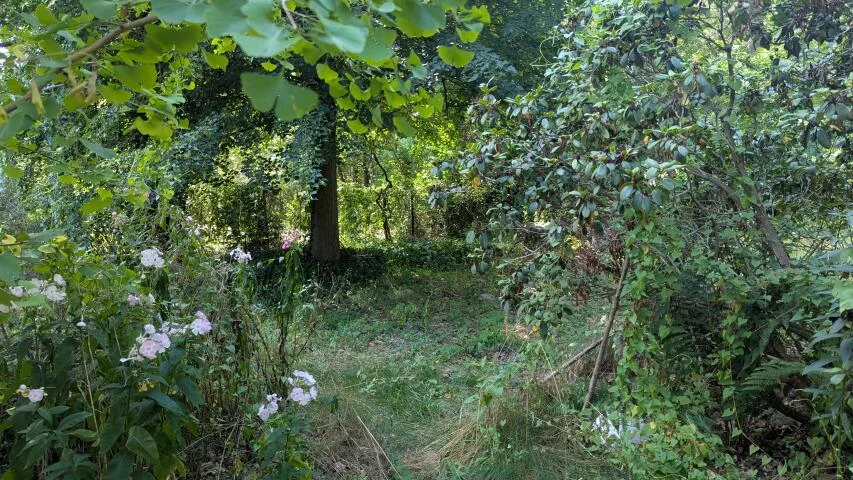 Działka 1 600,00 m², oferta nr , 20304, Chojnów