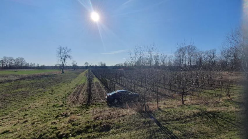 Działka 29 500,00 m², oferta nr , 20071, Dębówka