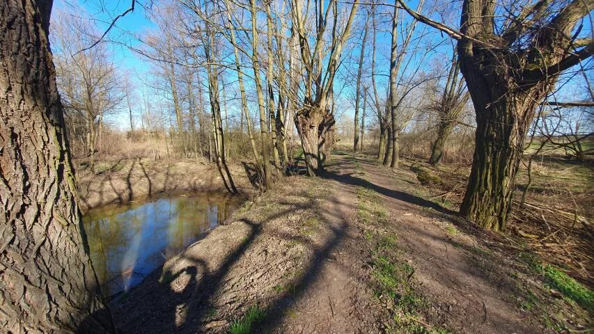 Działka 29 500,00 m², oferta nr , 20071, Dębówka