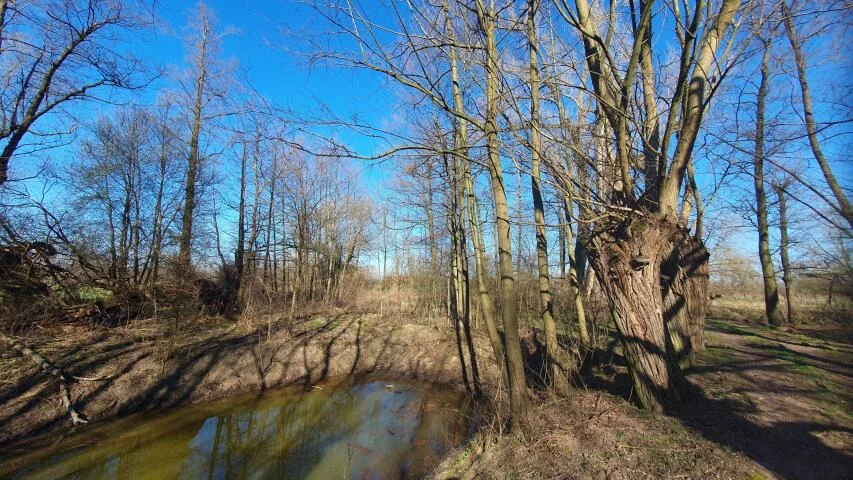 Działka 29 500,00 m², oferta nr , 20071, Dębówka