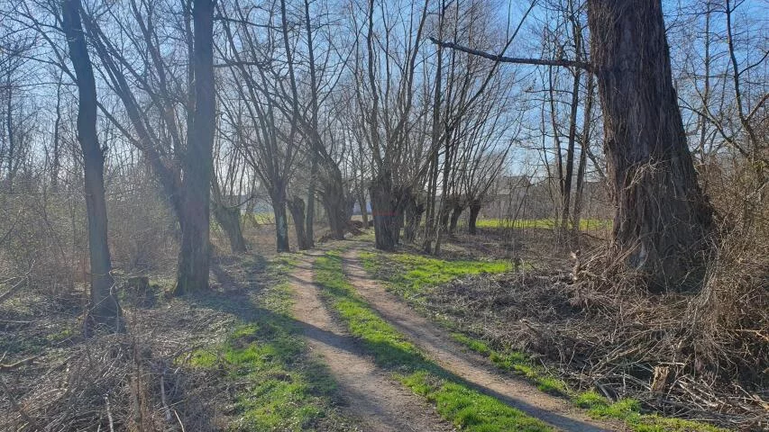 Działka 29 500,00 m², oferta nr , 20071, Dębówka