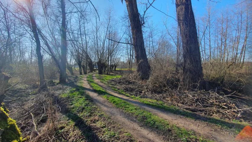Działka 29 500,00 m², oferta nr , 20071, Dębówka