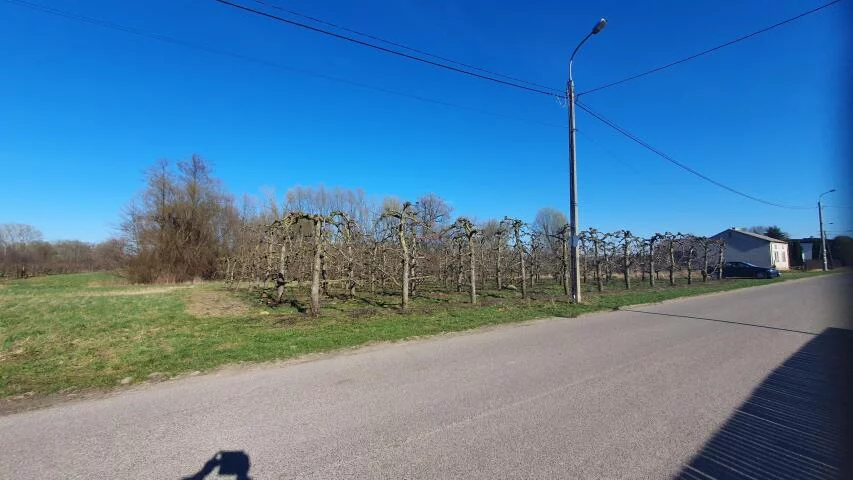 Działka 29 500,00 m², oferta nr , 20071, Dębówka
