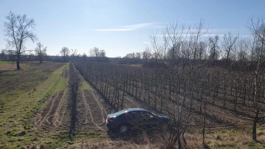 Działka 29 500,00 m², oferta nr , 20071, Dębówka