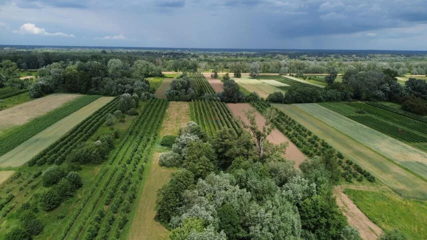 Działka 44 100,00 m², oferta nr , 20093, Dębówka
