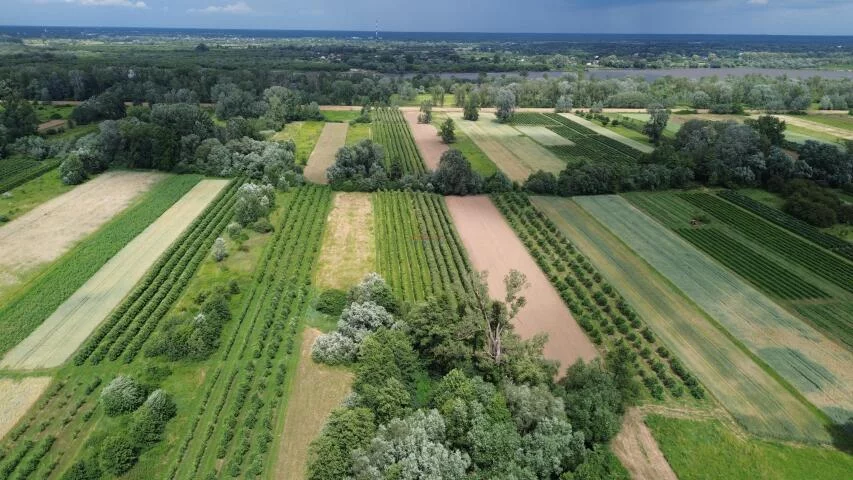 Działka 44 100,00 m², oferta nr , 20093, Dębówka