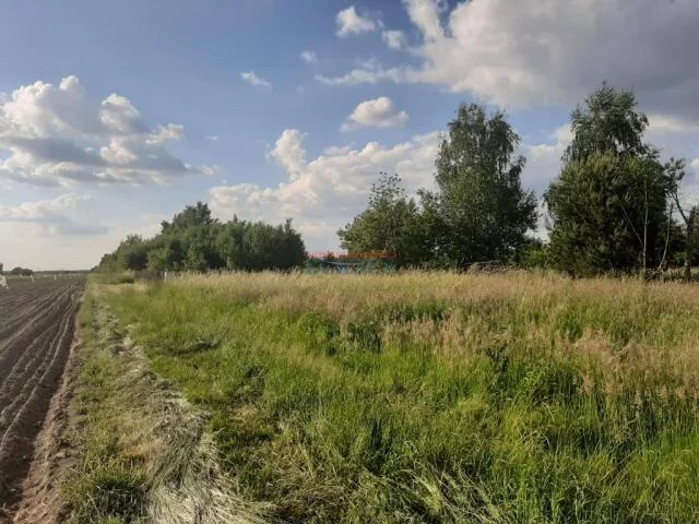 Działka 1 251,00 m², oferta nr , 19881, Gołków