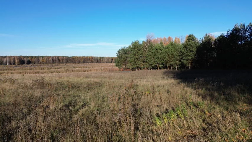 Działka 14 677,00 m², oferta nr , 20242, Kolonia Jurki